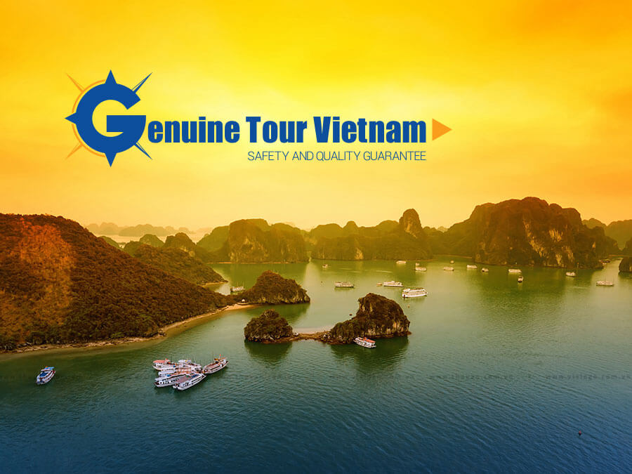 Đồ chơi gỗ - Xâu vòng trang sức đồng hồ