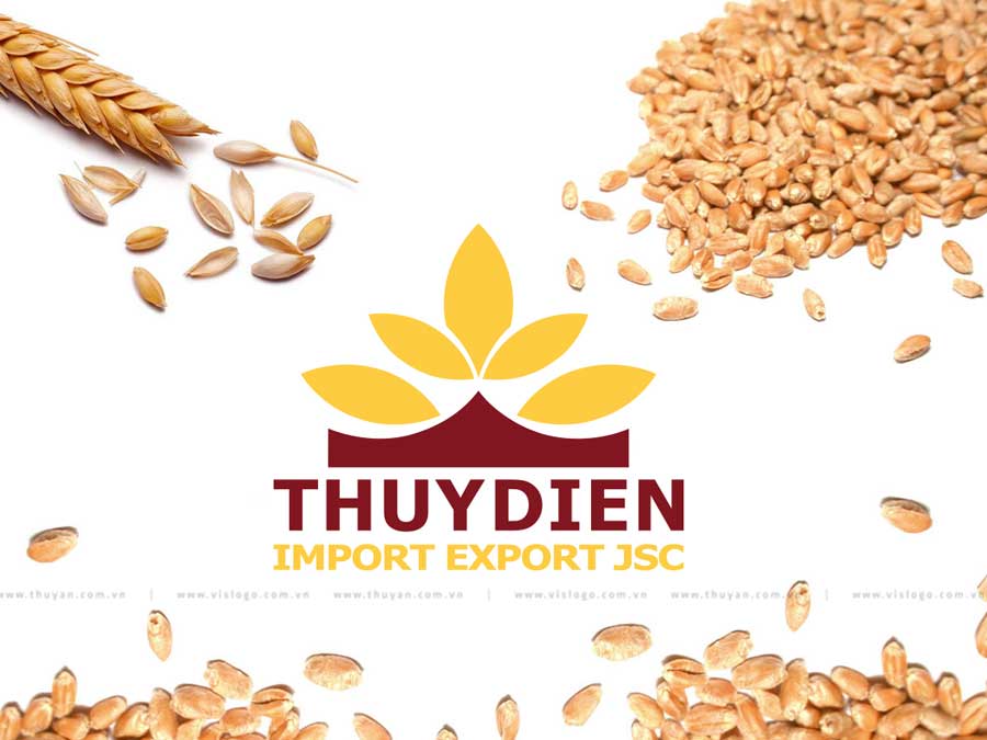 Thiết kế logo _ XUẤT NHẬP KHẨU THỤY ĐIỂN