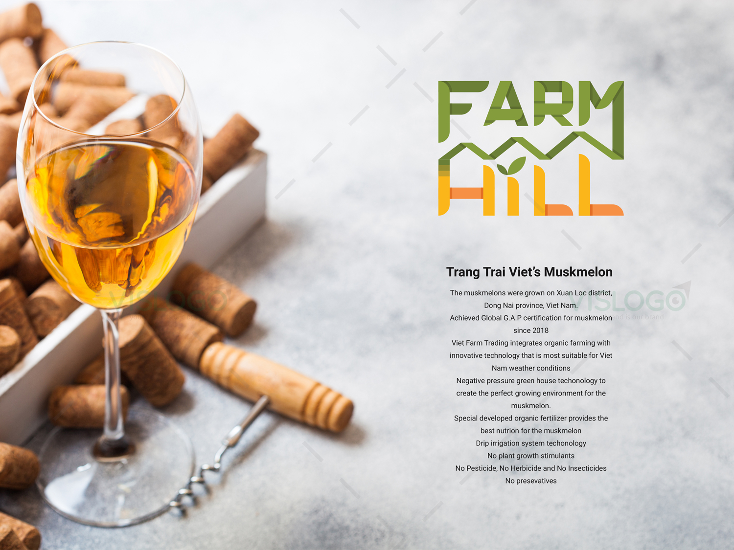 Đồ chơi gỗ - Xâu vòng trang sức đồng hồ