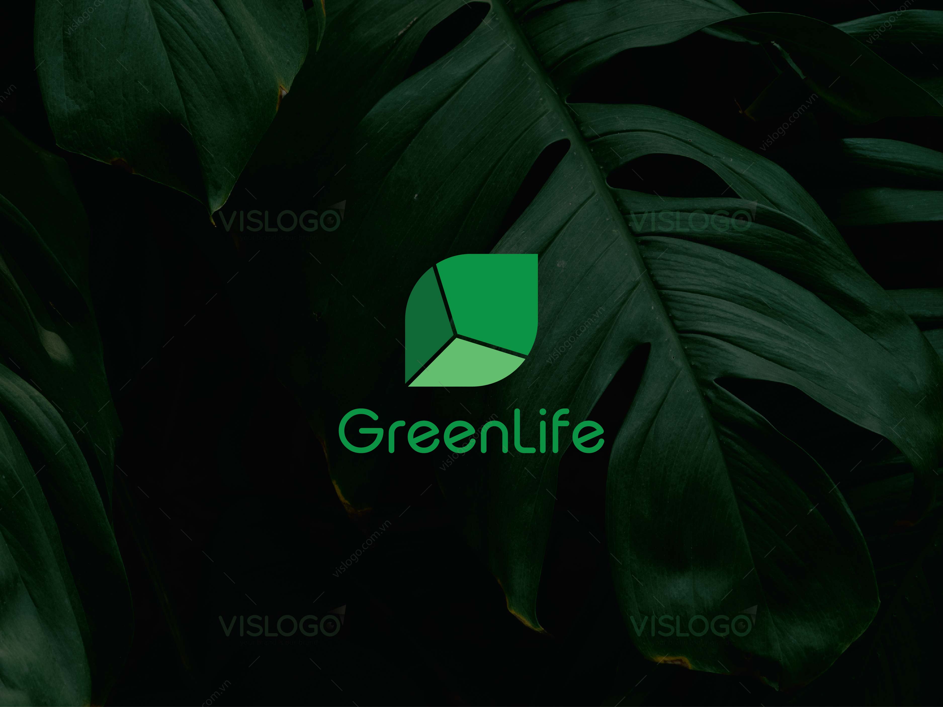 Đồ chơi gỗ - Xâu vòng trang sức đồng hồ