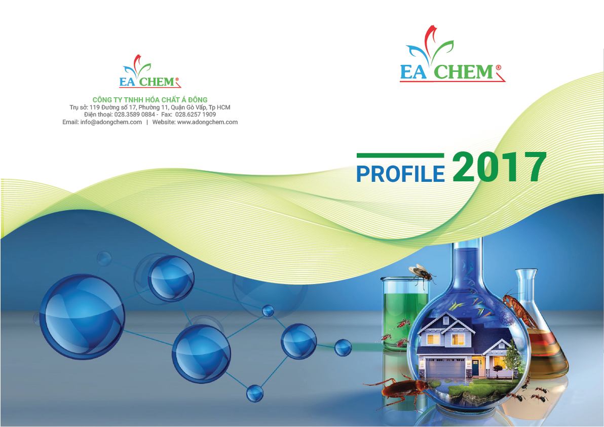 Đồ chơi gỗ - Xâu vòng trang sức đồng hồ