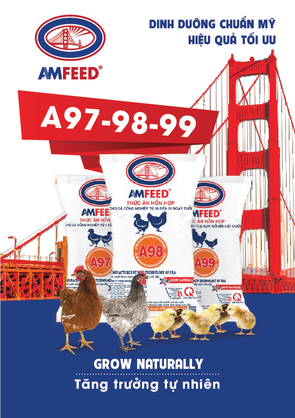 Đồ chơi gỗ - Xâu vòng trang sức đồng hồ