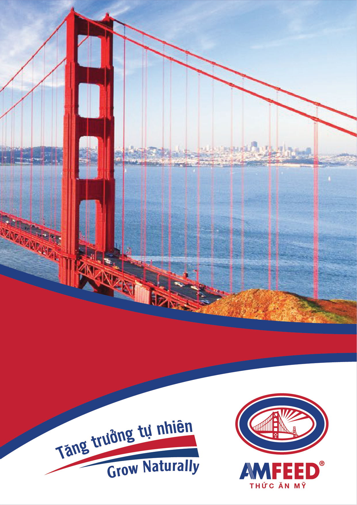 Thiết kế profile AMFEED BROCHURE MAIL