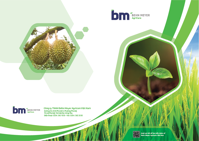 Đồ chơi gỗ - Xâu vòng trang sức đồng hồ